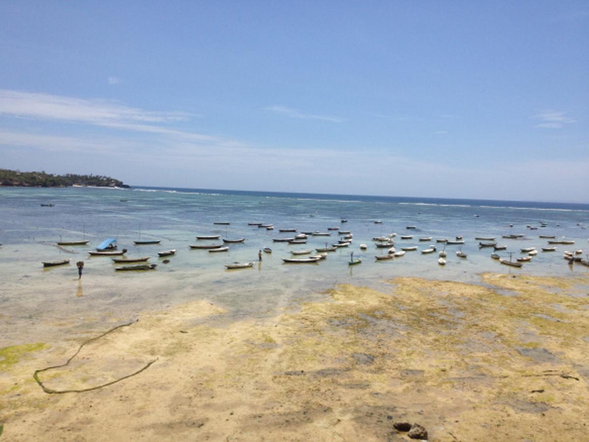 Lembongan Hostel Nusa Lembongan Exterior photo